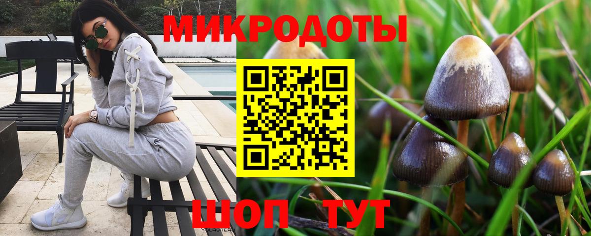 Псилоцибиновые грибы Magic Shrooms  Галлюциногенные грибы GOLDEN TEACHER  Севастополь  Вход с VPN 