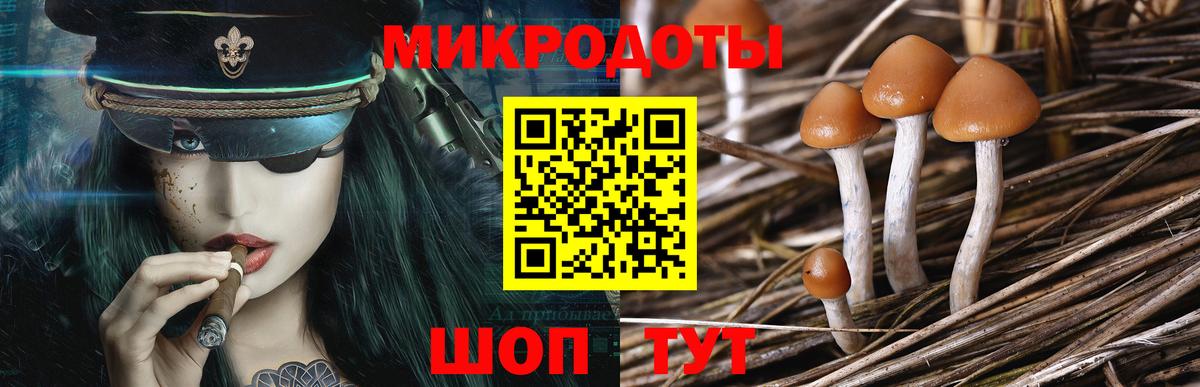 Галлюциногенные грибы MAGIC MUSHROOMS Севастополь