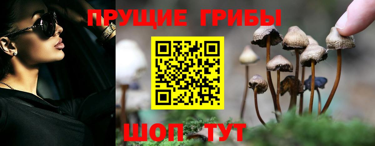 Конопля  Альфа ПВП СК   Гашиш  Севастополь  Купить наркотики  Меф МЯУ МЯУ   Вход с VPN 
